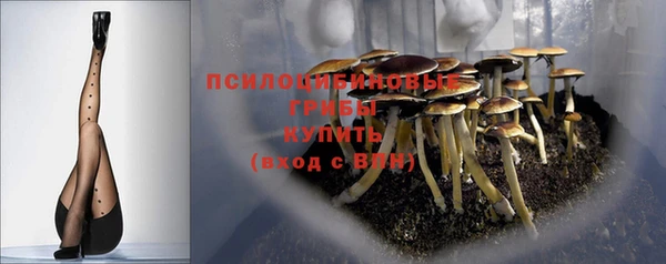 СК Нягань