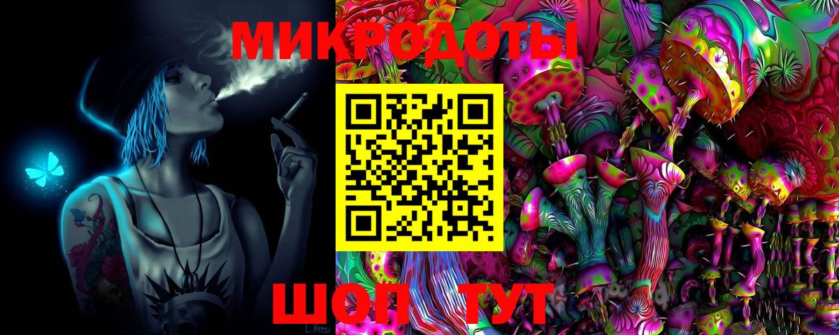 Псилоцибиновые грибы Psilocybine cubensis Лабинск