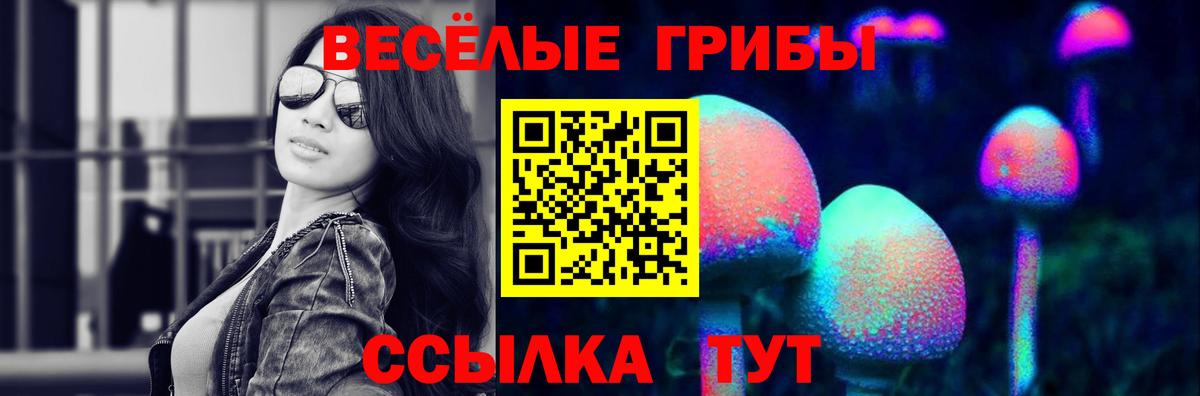 Лабинск  закладка  Вход с VPN  Галлюциногенные грибы Psilocybe  Галлюциногенные грибы мицелий 